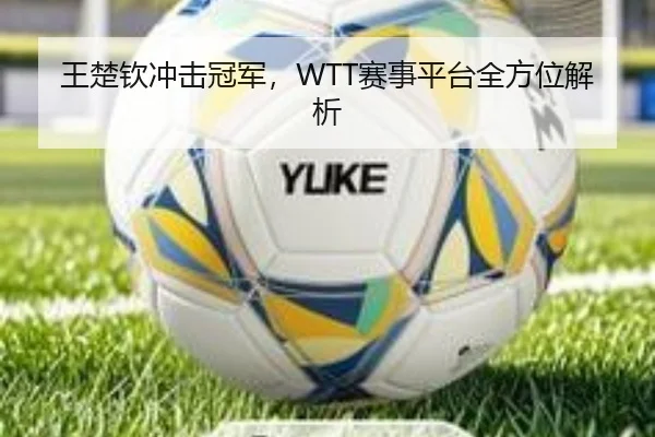 王楚钦冲击冠军，WTT赛事平台全方位解析